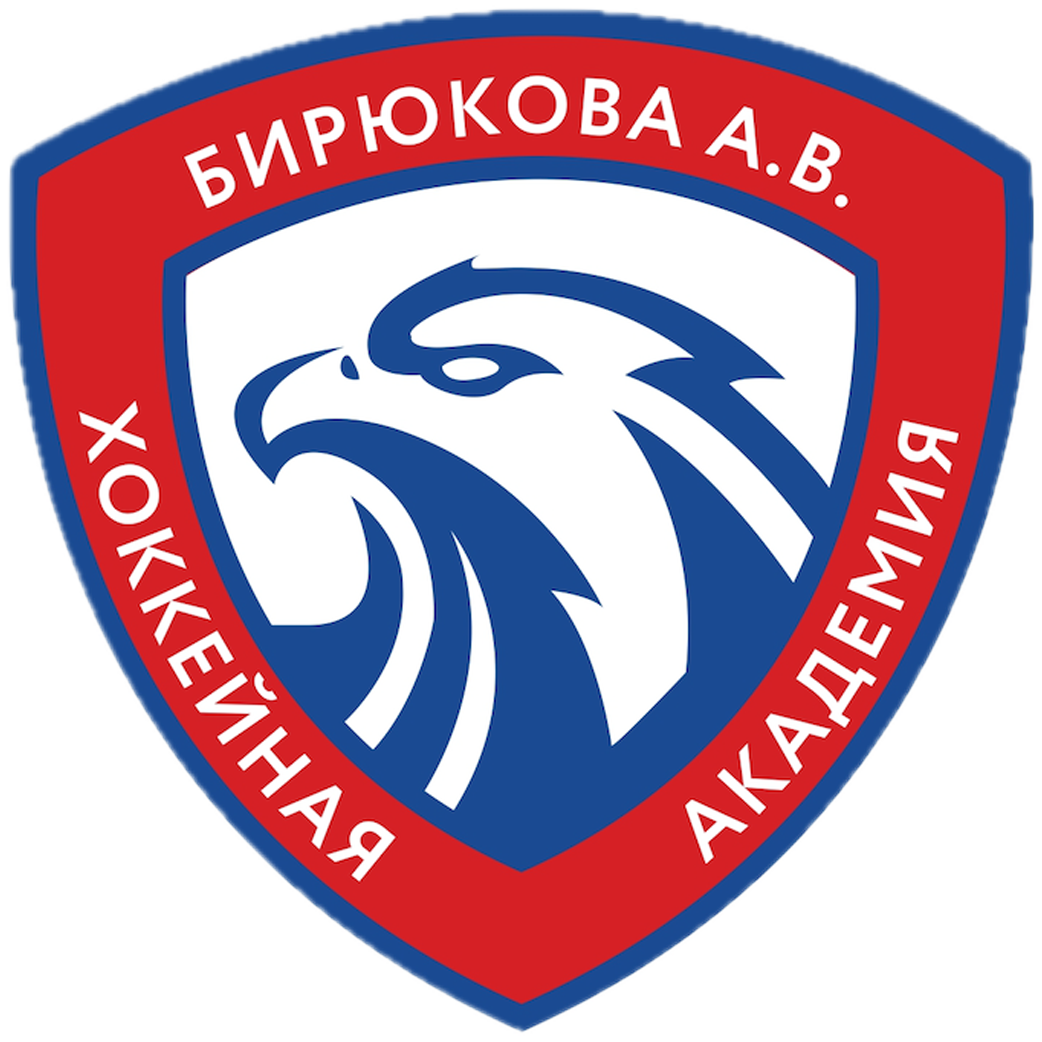 Академия Бирюкова logo